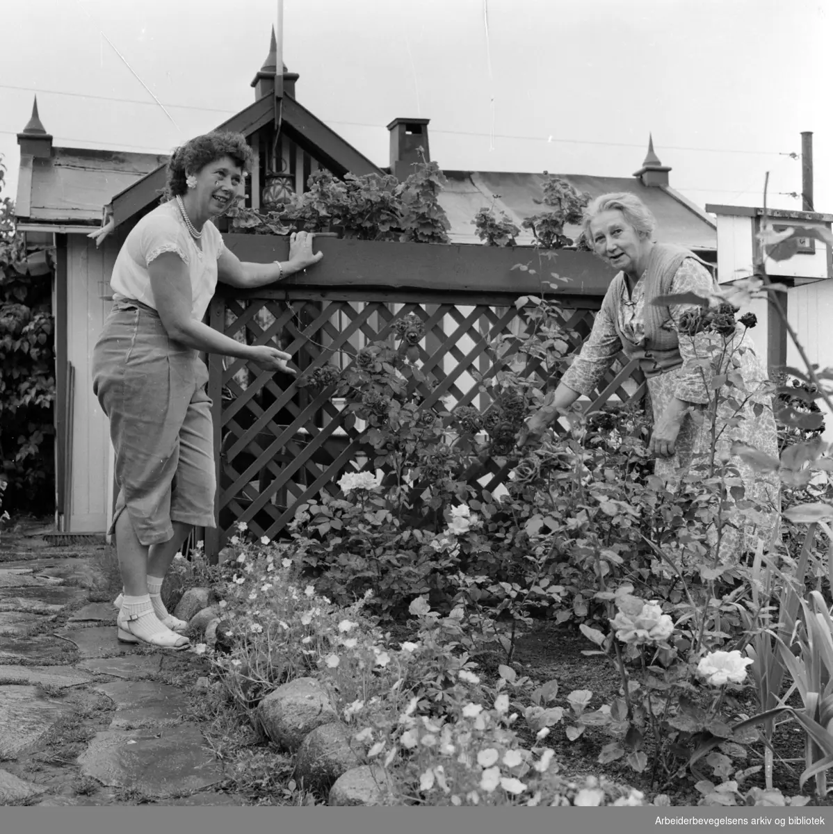 Rodeløkka Kolonihage. Ester Johnsen og fru Johansson viser oss rundt. Juli 1957
