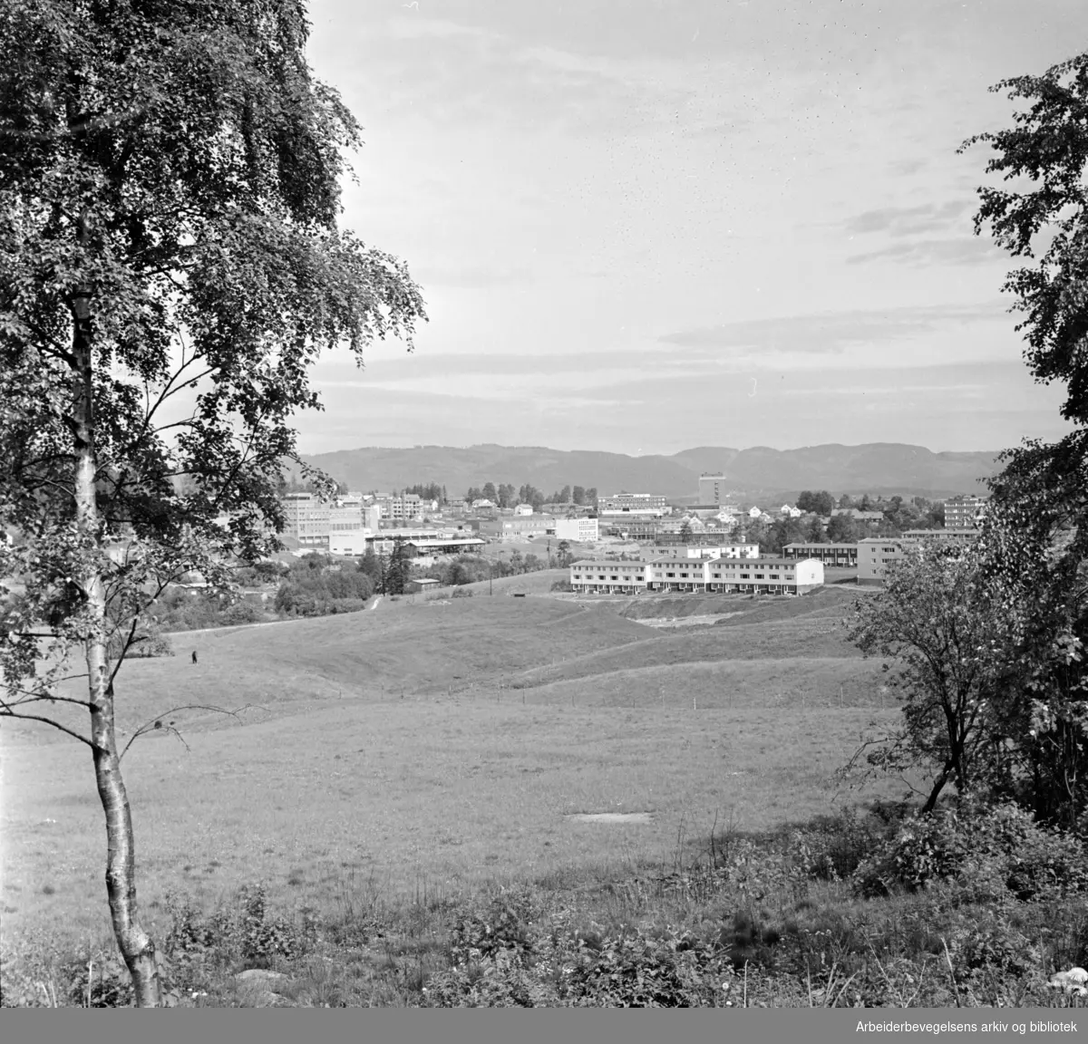 Nydalen: Bebyggelsen ved Brekke og Engebråten sett fra "utsikten" i Nydalen. Juni 1962