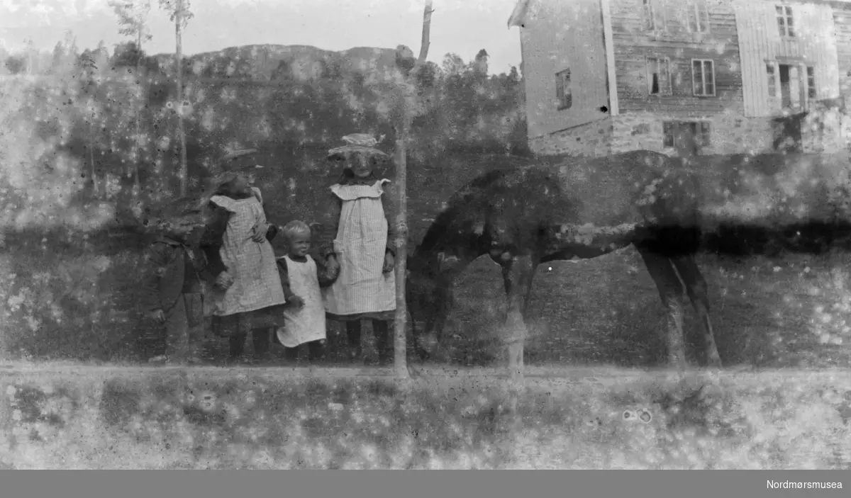 Sterkt skadet foto av en gruppe barn sammen med en gårdshest, utenfor et gårdshus, trolig på Eidsvåg i Nesset kommune. Fotograf er trolig Georg Sverdrup. Fra Sverdrupsamlingen ved Nordmøre museums fotosamlinger.