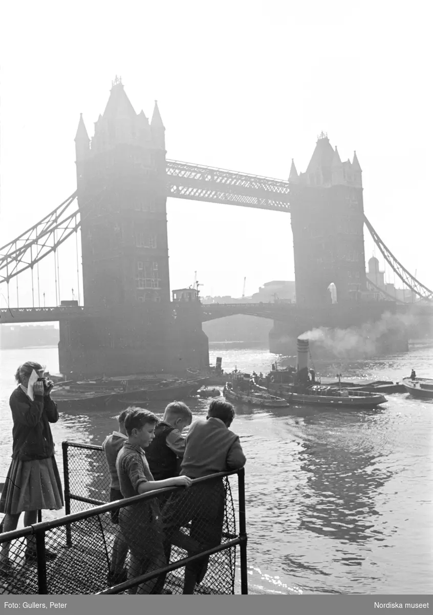 London. En grupp pojkar och en flicka med kamera tittar ut över Themsen. I bakgrunden Tower Bridge.