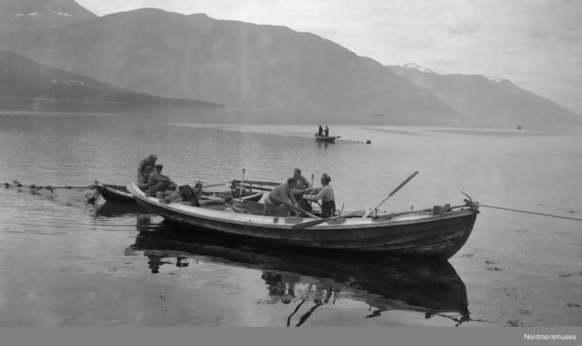 Fiskebåter ute på fjorden med sine garn. Fotografen er trolig Georg Sverdrup. Hvor bildet er tatt er mer usikkert, men trolig en plass på Nordmøre og Romsdal. Datering er ukjent, men kan være omkring 1920-1930-tallet. Fra Sverdrupsamlingen ved Nordmøre museums fotosamlinger.