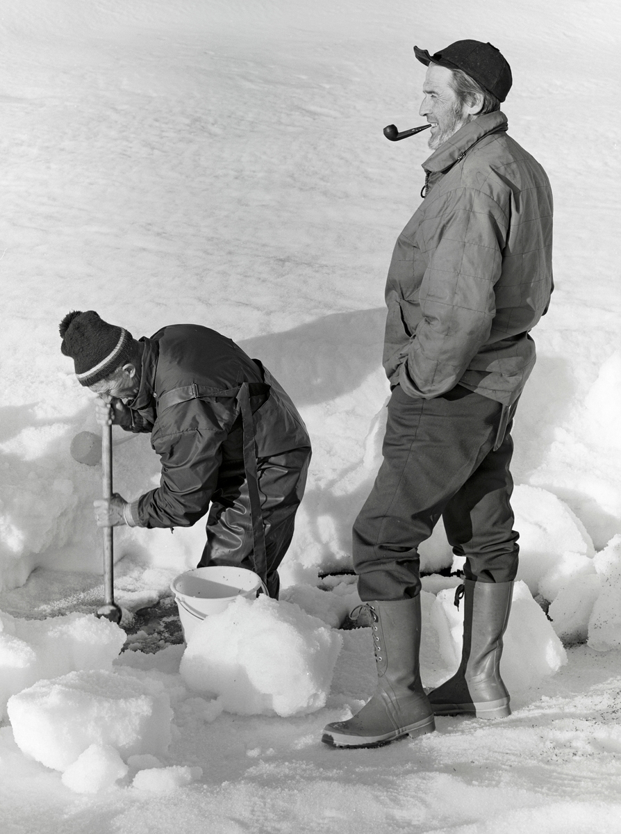 Oppsamling av grindalsflue med tanke på isfiske.  Fotografiet viser to menn på Glomma-isen.  Den ene av karene (til venstre) står med en spade i en sprekk i isen, antakelig for å ta opp insektnymfer fra issørpa, som ble samlet i plastbøtta ved siden av issprekken.  Den andre mannen røykte pipe mens han fulgte med på det som foregikk ved issprekken.  Grindalsflue er et lokalnavn på en steinflueart.  Den finnes i hele Norge, men er mest vanlig i Glomma på strekningen mellom Røros og Elverum. Lokalnavnet refererer til garden Grindalen i Elverum, som ligger like ved en elvestrekning der det brukte å forekomme store mengder av denne arten, som på latin kalles Capnia pygmea.  Grindalsflua legger egg i så vel småbekker som større elver, men i Elverum er forekommer den stort sett i Glomma. Larvene utvikles best der elvebotnen består av steinblandet sand.  Når det går mot vår søker larvene i store mengder opp gjennom sprekker i isen, hvor de utvikler seg til fluer med små, grå vinger.  Fiskerne samler disse insektene mens de ennå er i lymfestadiet.  Fiskemetoden var spesiell.  Først lagde fiskeren et romslig hull i isen ved hjelp av en isbil.  Deretter slapp en en del grindalsfluelymfer ned i hullet, noe som gjorde at sik og harr trakk mot vannet under hullet for å beite.  Fiskerne lå på magen på en trelem, litt bar, en gammel skinnfell eller i nyere tid på ei isoporplate og kikket ned på fisken.  I den ene handa hadde de en liten pinne med en senestubb og en krok i ytterenden, eventuelt en tynn messingtråd med ei renneløkke, som kunne brukes til å snarefange mett og doven fisk.  På steder der det var strøm i elva brukte fiskerne to hull i isen - et øvre hvor grindalsfluelarvene ble sluppet og et nedre der fisken ble fanget.