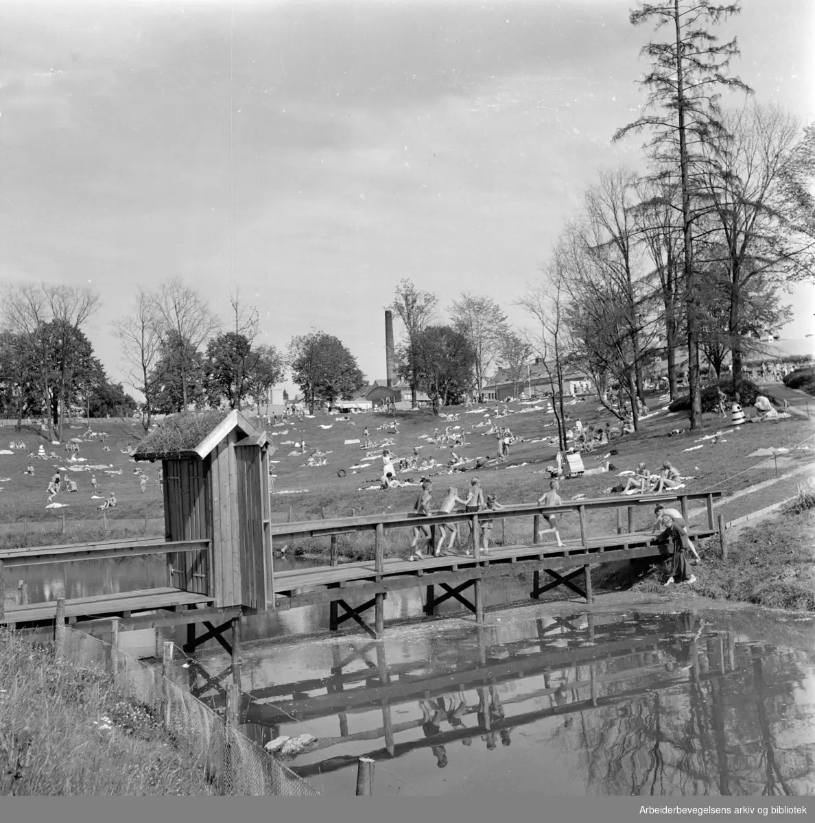 Frognerparken. Gammel bru ved Frognerbadet. August 1957