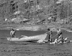 «Båtlag» i aktivitet ved tømmervase ved Myrstadvelta i Femun