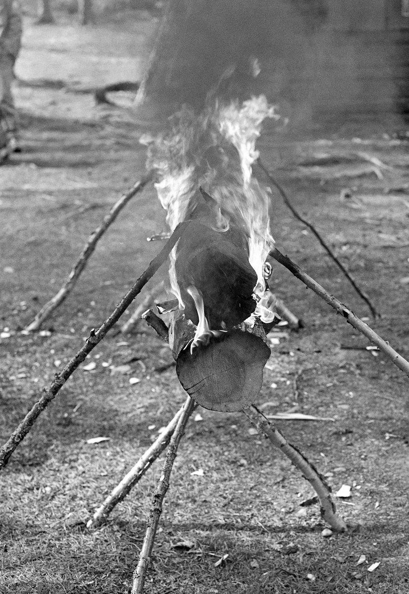 Brennende nying ved Stenbekkoia ved Femundselva i Engerdal i mai 1986.  Denne nyingen ble oppsatt og tent som en del av programmet da styret i Klarälvegns Flottningsförening hadde sin ekskursjon langs vassdraget dette året.  Nyinger består av en eller flere horisontalt- og paralleltliggendende stokker, lagt og nørt slik at de skal gi god og vedvarende varme.  Slik ild ble brukt i skog og utmark.  Vinterstid overnattet skogsarbeiderne vanligvis i hus – skogstuer eller koier – med mildt sagt enkel standard.  Men i vårsesongen forekom det ikke sjelden at fløterne sov under åpen himmel og hentet varme og tørk fra nyinger. I en medisinalberetning fra 1871 beskrev distriktslege Christian Pavels Munthe (1816-1884) i Elverum nyingen slik:

«Ikke altid kunne de vaade og forfrosne Flødere finde varmt og beboet Hus til Natten, - ikke engang en Køie, hvor de kunne tørre sine Klæder og finde et varmt Leie.  Meget ofte maa de lægge sig vaade som de ere paa den vaade Jord med et Lag af Barkviste under sig, efterat have opgjort en Ild  - «Nying» - paa følgende Maade: De tage en tyk, letbrændelig Stok, hvorover de lægge en anden noget mindre af samme Slags.  Disse to Stokke holdes fra hinanden ved to eller flere Stykker Træ ved Enderne («Beitkøler»), medens den øverste hindres fra at falde ned ved paa hver Ende at støttes ved tvende længere Kabber, der som Strævere lægges på imod den.  En saadan Kabbe kaldes «Haldmær» og mellem de saaledes ovenpaa hinanden liggende Stokke opgjøres paa flere Steder Ild, der langsomt brænder og underholde Varme den hele Nat.  Fløderne lægge sig nu paa begge Sider af en saadan «Nying», og vende sig gjentagne Gange om Natten, for at snart den ene, snart den anden Side kan blive varmet og tørret ved Ilden.»

Nyingene kunne lages av en eller flere stokker, og var det flere enn to, ble de ofte lagt slik at nyingen fikk et pyramidalt tverrsnitt.  I dette tilfellet var det en to-stokknying, der den underste stokken sto på et trefotet stativ av kjepper.  Oversida av denne stokken og undersida av overstokken var fliset opp ved hjelp av ei øks, og i mellomrommet mellom dem lå det tørre flister, som skulle lette antennelsen.  Den øverste stokken var støttet med skråstivere av kjepper på begge sider.  Da dette fotografiet ble tatt brant det friskt i nyingen.