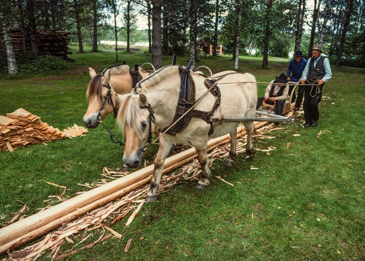 Produksjon av takflis ved hjelp av en diger høvel, som kalles «flisokse», og to hester (fjordinger) i Norsk Skogmuseums friluftsmuseum på Prestøya sommeren 1998.  Arbeidet med å etablere en såkalt «flisbane» på denne sletta startet med at karene la «flisrajer» – emneved av rettvokst, småkvistet unggran – etter hverandre i to rette linjer på bakken.  Karene boret hull i flisrajene med navar.  Gjennom disse hullene ble det slått plugger av ospevirke ned i bakken.  Deretter ble oversida av flisrajene barket ved hjelp av barkespade og ujevnheter ble telgjet bort med øks.  Karene skar hakk på tvers av flisrajene med en innbyrdes avstand av cirka 50 centimeter.  Deretter kunne den egentlige flisproduksjonen starte.  Den ble utført med en diger høvel, en såkalt «flisokse».  Den besto av en massiv stokk med styrelister langs såleflatas ytterkanter.  Den hadde også et kvast stålblad, som i hvert «drag» høvlet cirka fem millimeter av veden i flisrajene.  Flisoksen var forspent to hester (i dette tilfellet fjordinger).  En av karene (Ola Kolstad) kjørte hestene, en (Bjørn Haugen) styrte flisoksen og en (Kjell Haugen) satt på den, for å trykke den så godt «nedåt» at den høvlet flis med jamn tjukkelse.  Etter at de første flisrajene var høvlet nesten ned til midtmargen, ble et nytt sett av flisrajer lagt oppå og festet med ospeplugger, jamnet, barket og skåret i høvelige flislengder, før kjøringa med flisoksen kunne fortsette.  Det er i denne fasen av arbeidet dette fotografiet er tatt.  Flisbanen besto for øvrig av to parallelle linjer av flisrajer, slik at karene kunne kjøre «fram» på den ene og «attende» på den andre.  Helt til venstre i dette bildet ser vi en stabel med ferdighøvlet takflis. 