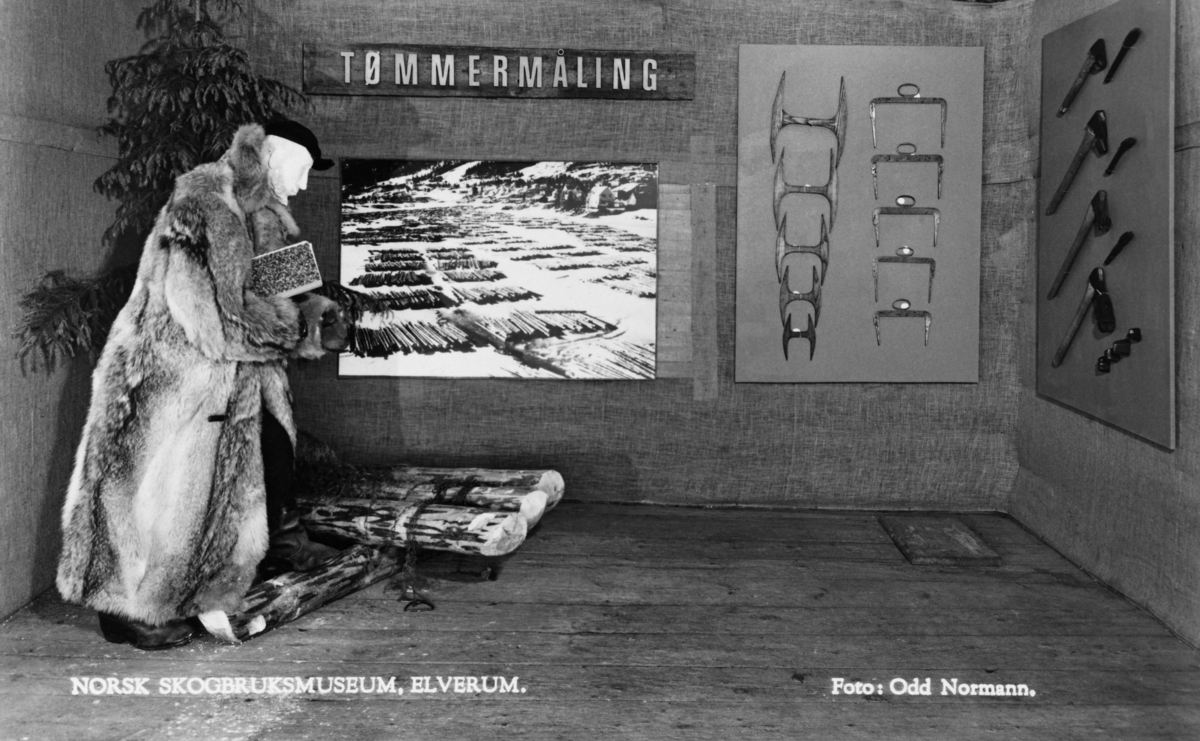 Utstillingsmontasje i klokkergardslåven på Norsk Skogmuseum, som var museets utstillingslokale i 1960-åra.  Til venstre i bildet ser vi ei ulveskinnspelskledd dokke med ei bok under armen og med svart skjoldlue på hodet.  Dette er antrekket til en tømmermåler.  På golvet ved føttene hans ser vi noen barkete stokkender, som skulle illudere tømmer som var lagt til måling.  I en krok bak mannsskikkelsen står det ei lita gran, som minner om at tømmermålingsarbeidet ble utført i skogen.  På de striebetrukne veggene er det – under en bordstubb med teksten «TØMMERMÅLING» - er det et stort fotografi av ei isflate med betydelige mengder tømmer som var lagt til måling, samt plater med fastklaver og merkeøkser.  Styret i Norsk Skogmuseum vedtok å kjøpe klokkergarden Fossum til takst i 1963.  Låvebygningen ble verdsatt til 1 000 kroner.  Jostein K. Nysæther hjalp konservator Tore Fossum med å innrede utstillinger i bygningen, som var museets utstillingslokale inntil den nye museumsbygningen et par hundrede meter lengre nord ble innredet tidlig i 1970-åra. 