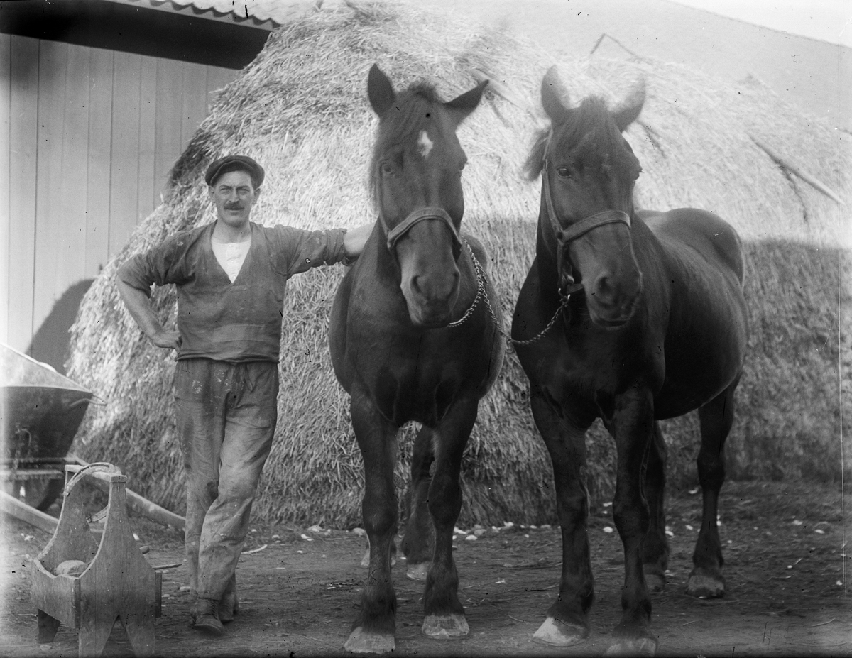 "Hovslagare Gustav Vallin Södervad Fjärdhundra med 2 hästar", Simtuna socken, Uppland 1921