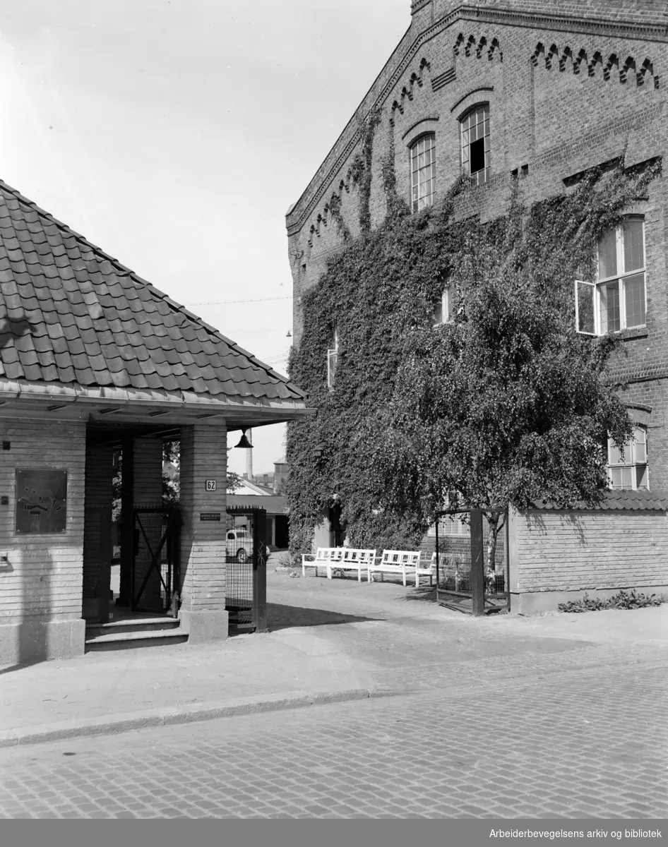Bjølsen Valsemølle. Inngangen til Bjølsen Valsemølle. Juli 1955.