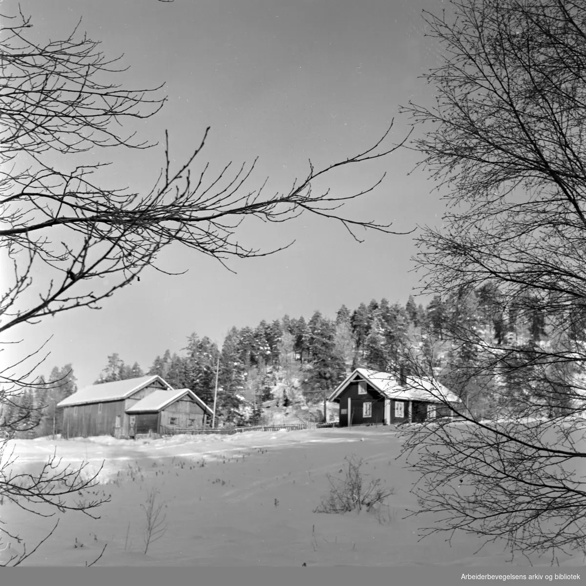Østmarka: Ødegården, Lysløypa. Januar 1959