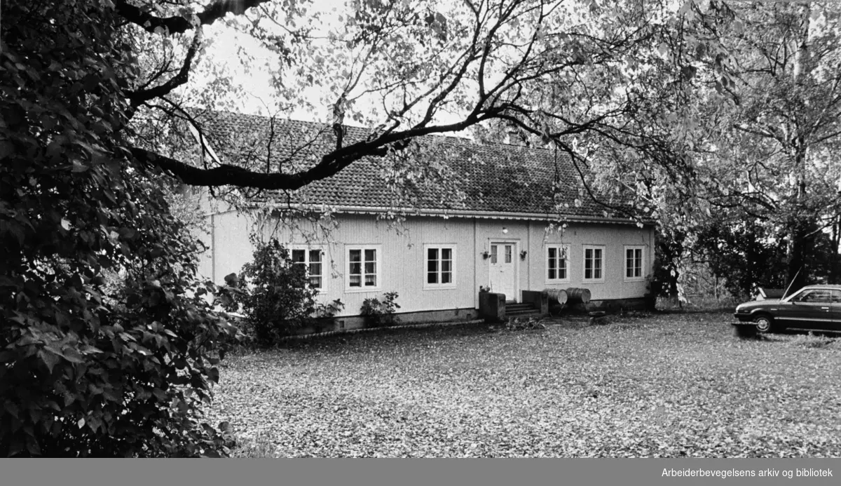 Årvoll gård. 1981