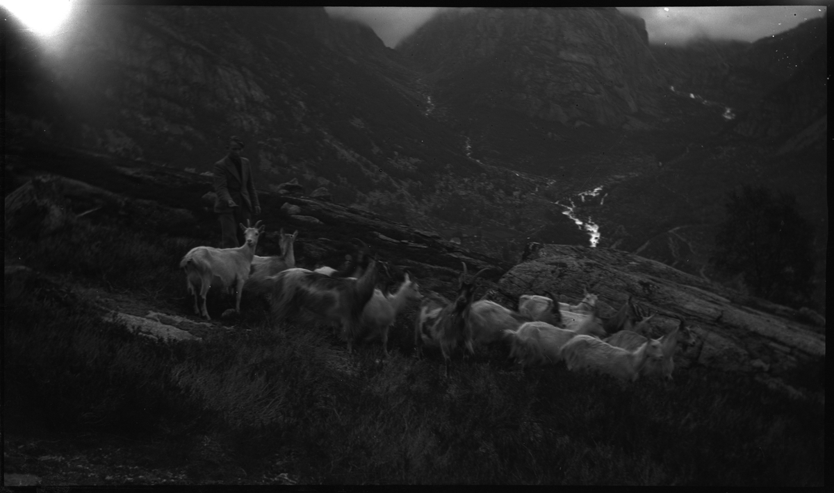 Henning Steira, Einar Jacobsen og en person til i Lysedalen og fjelene rundt Lysebotn. Det er bilder av landskapet, fossefall, ei stri elv og en flokk med geiter.