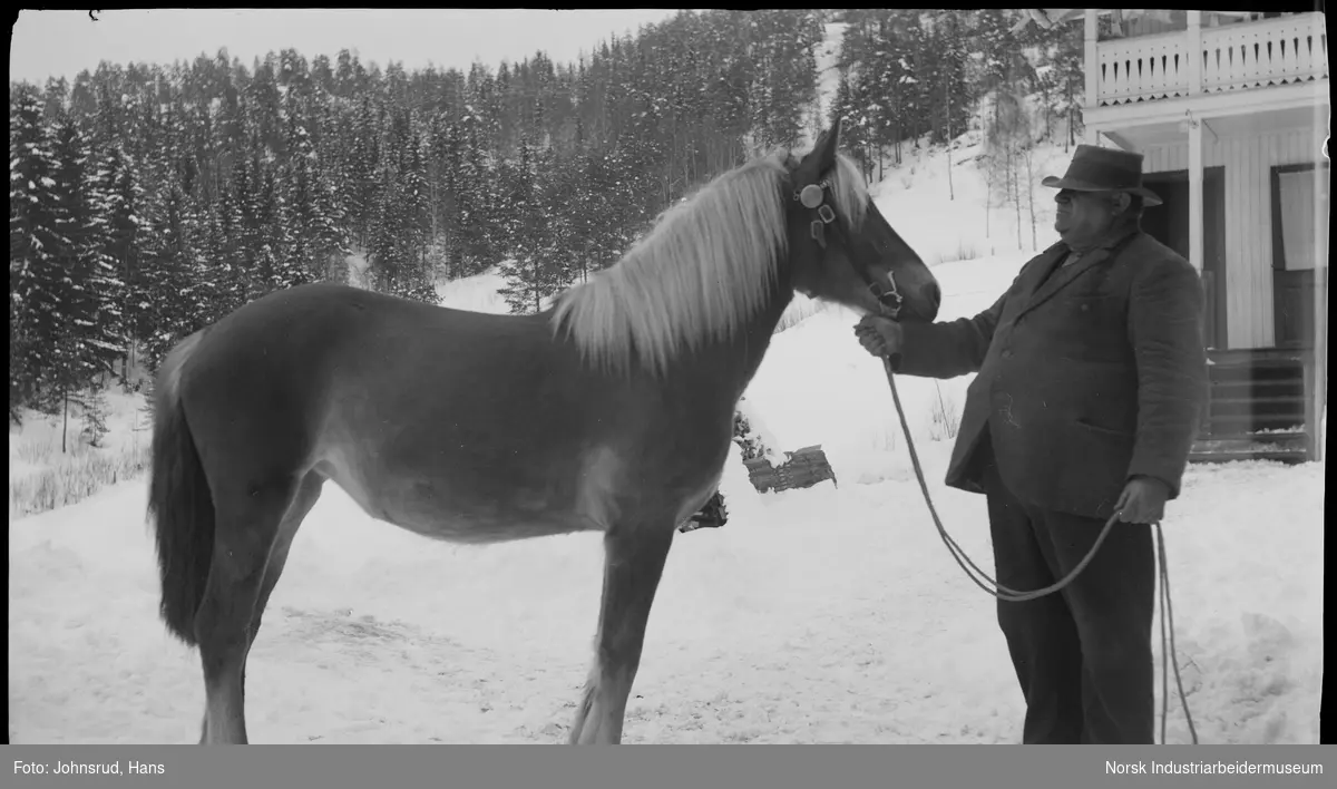 Mann stående med hest iført hodelag i vinterlandskap. Bolighus i bakgrunnen.