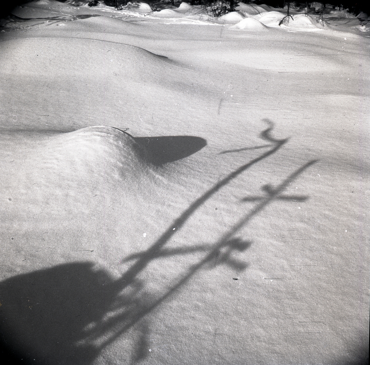 Skuggspel på snö, vintern 1948.
