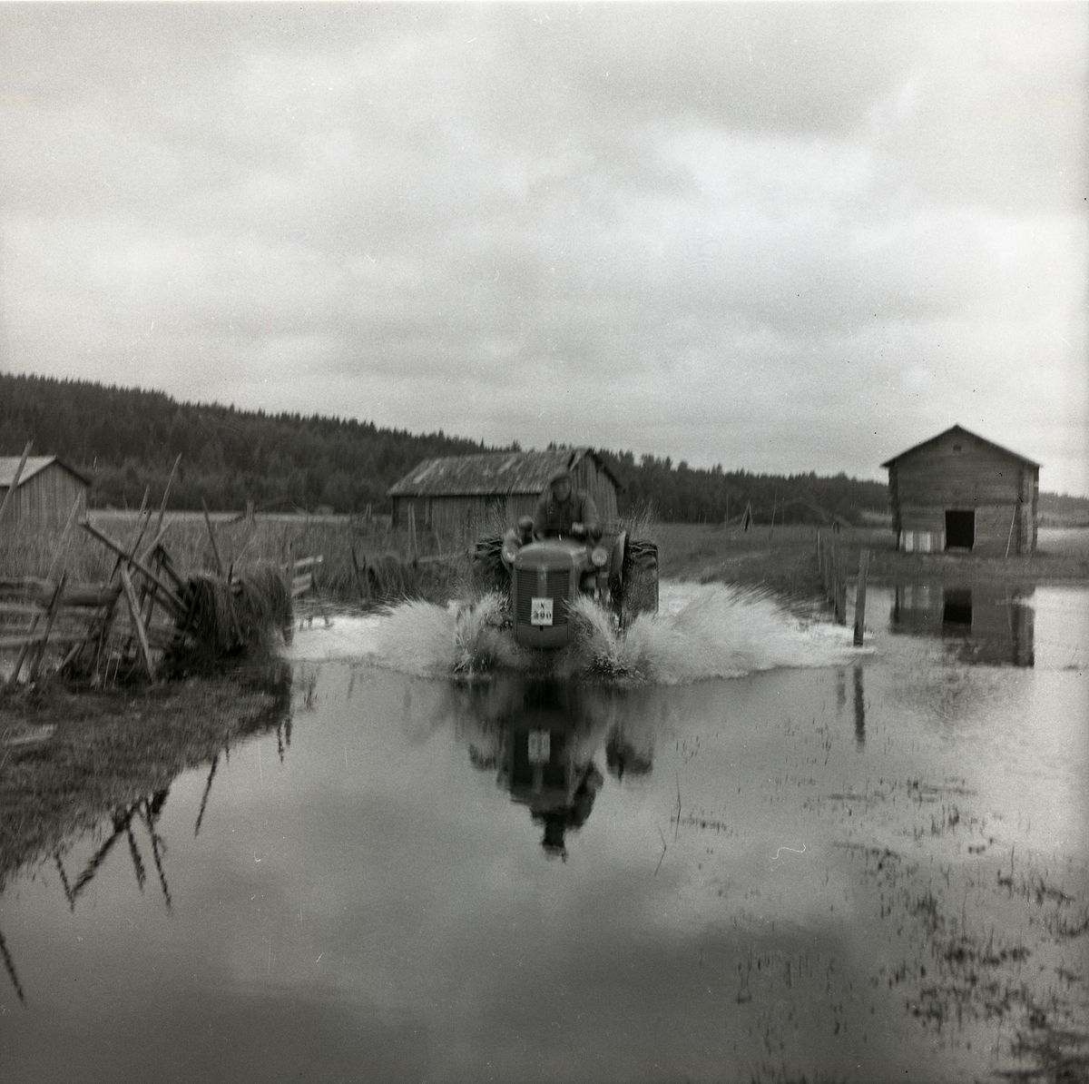 En man kör en traktor genom en översvämmad å, 25 augusti 1956.