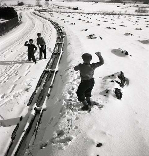 Tre pojkar kastar snöbollar mot varandra i ett snöigt Hälsingland, 1949.