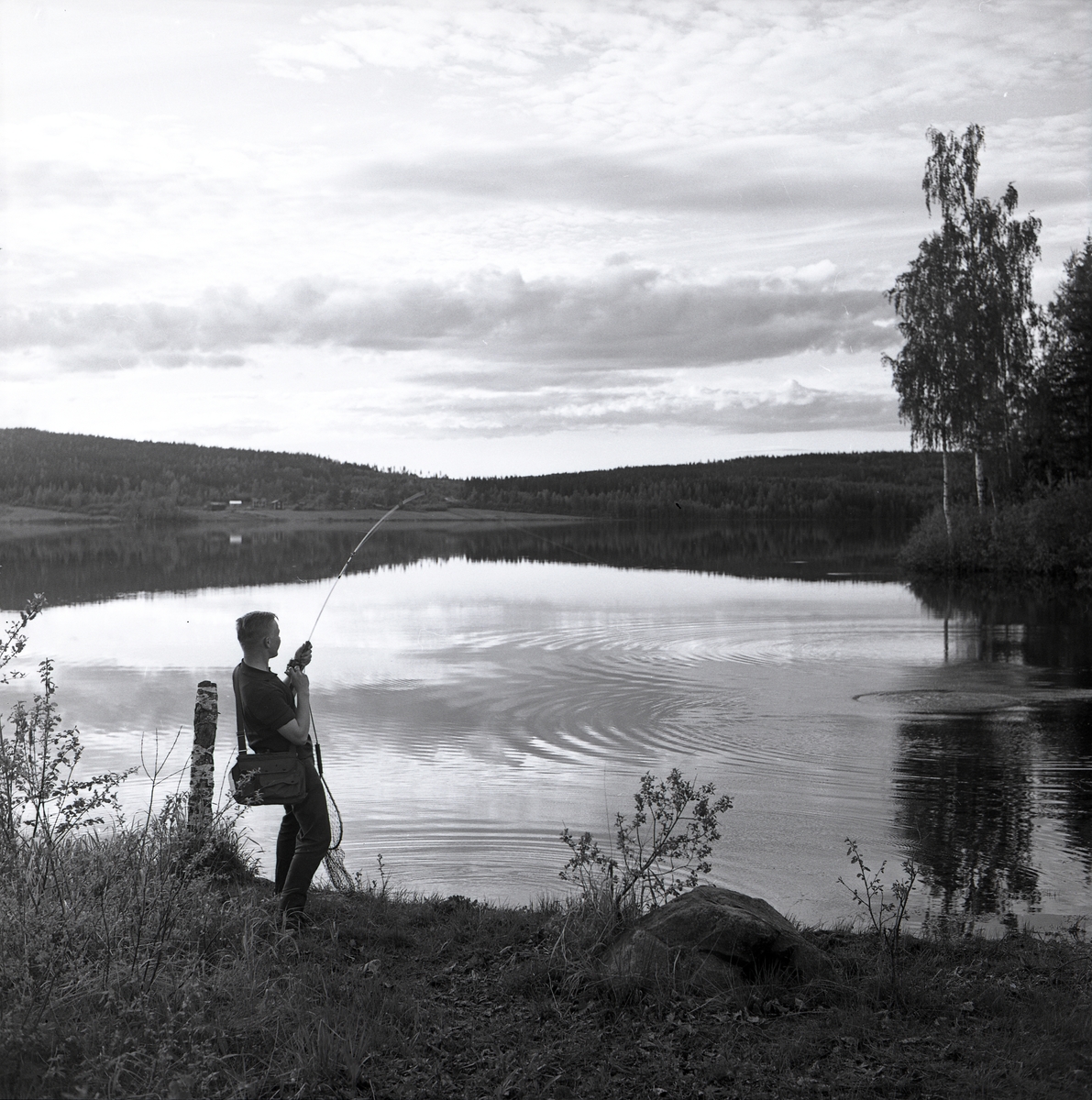 Pojke fiskar med kastspö och verkar ha fått napp. Vid Västansjön, Trönö juni 1962.