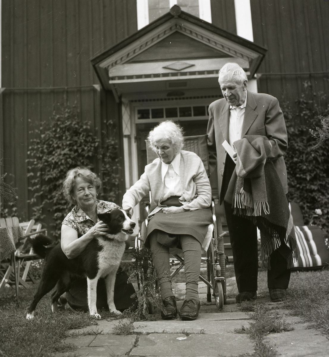 En kvinna i rullstol sitter på en stenlagd gång och klappar en hund. Till vänster om henne står en man och till höger sitter en kvinna på huk hållandes i hundens halsband.