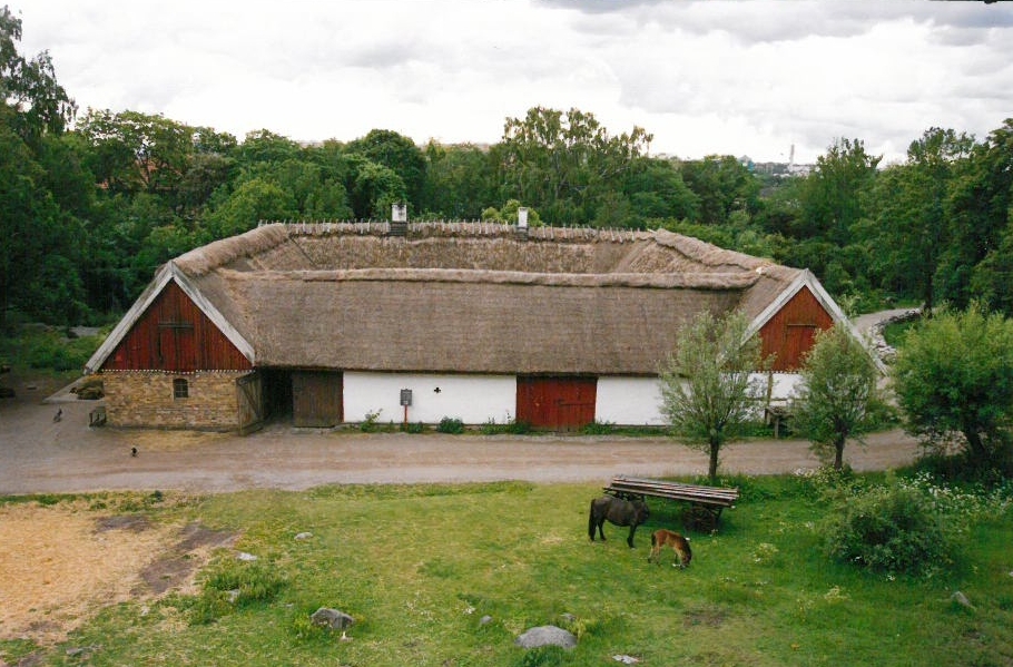 Skansens skånegård flyttades i sin helhet från Högs socken i västra Skåne under åren 1974-1977. Gården är kringbyggd med en gårdsport i den norra delen. Gårdsplanen är satt med natursten. På Skånegården finns en boningslänga, två loglängor samt en stallänga. I söder, utanför den kringbyggda gården ligger trädgården. Byggnaderna är ursprungligen uppförda under 1700- och 1800-talet.