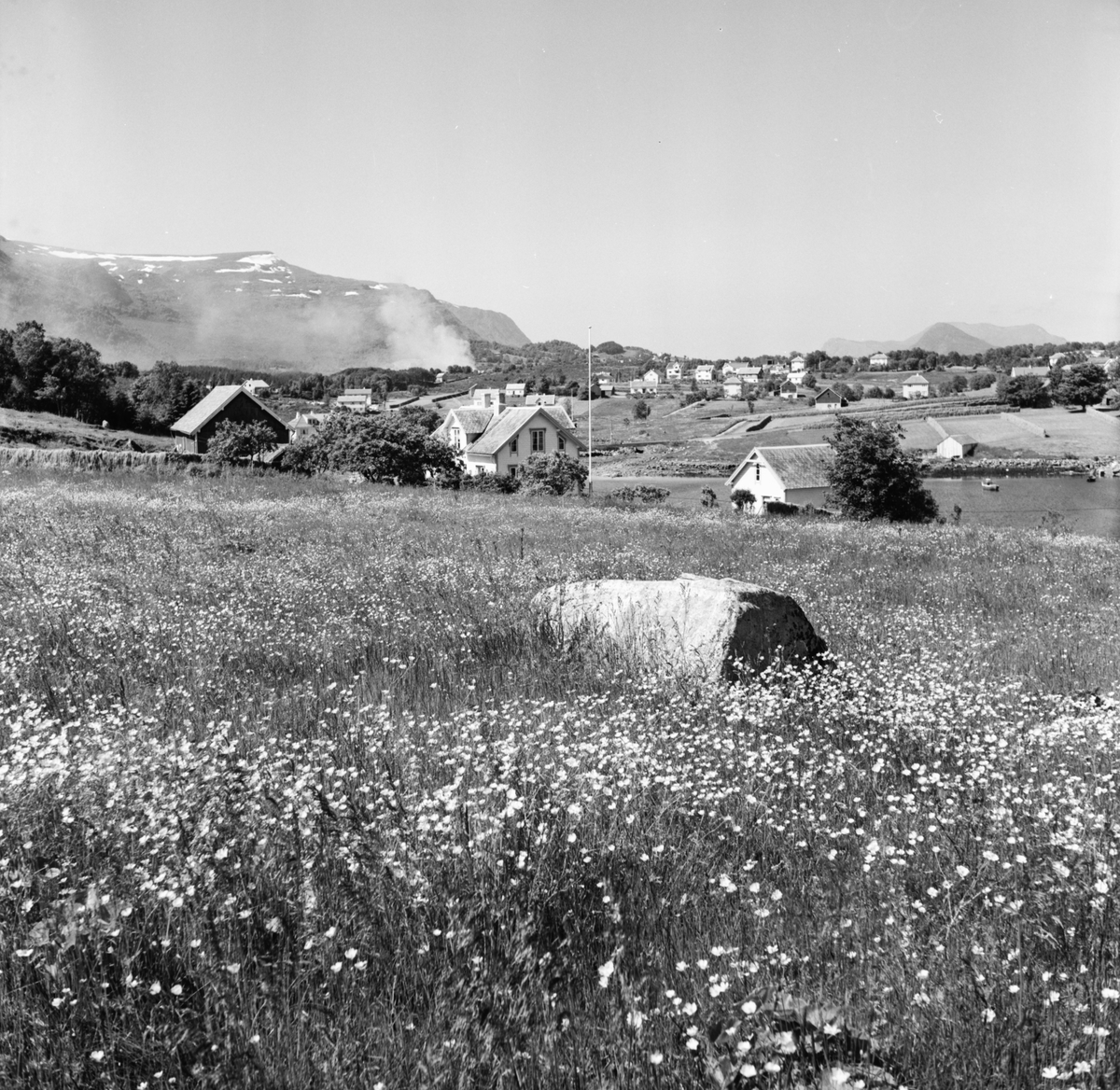 Prospektfotografi av en gård på Blomvik med Fiskarstranda i bakgrunnen.