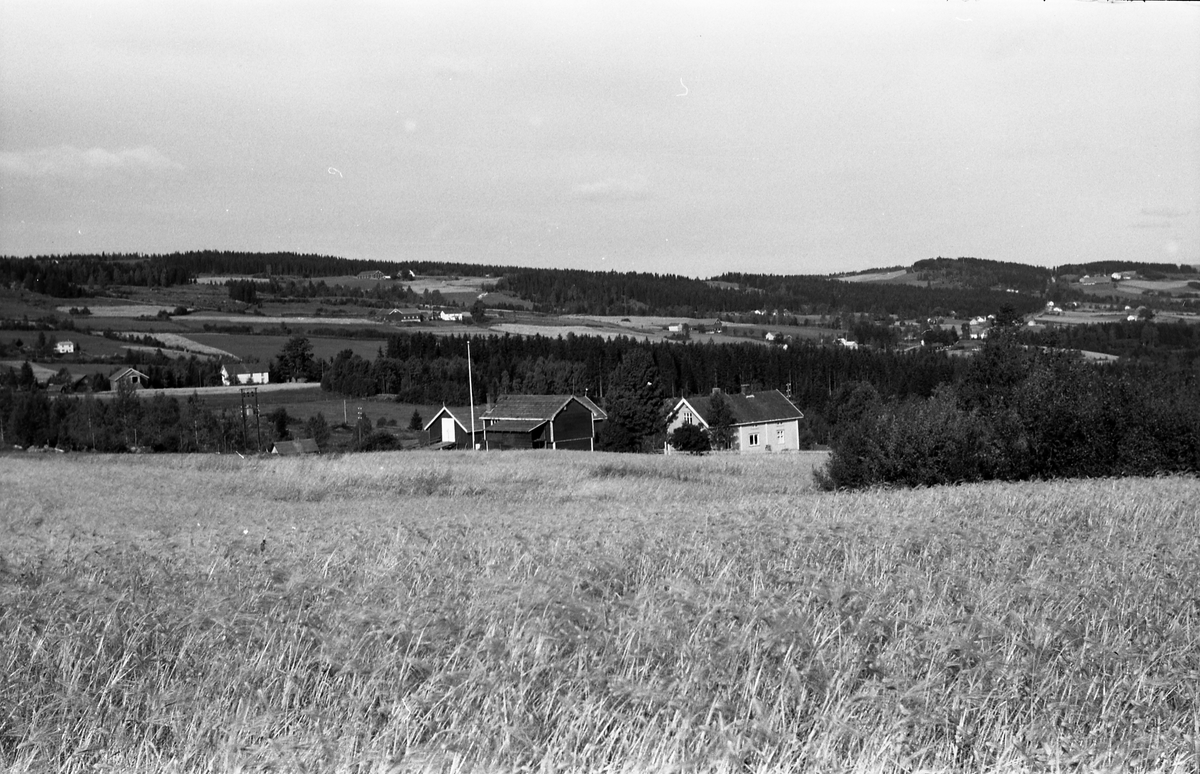 To bilder av bruket Engeli i Øverskreien.