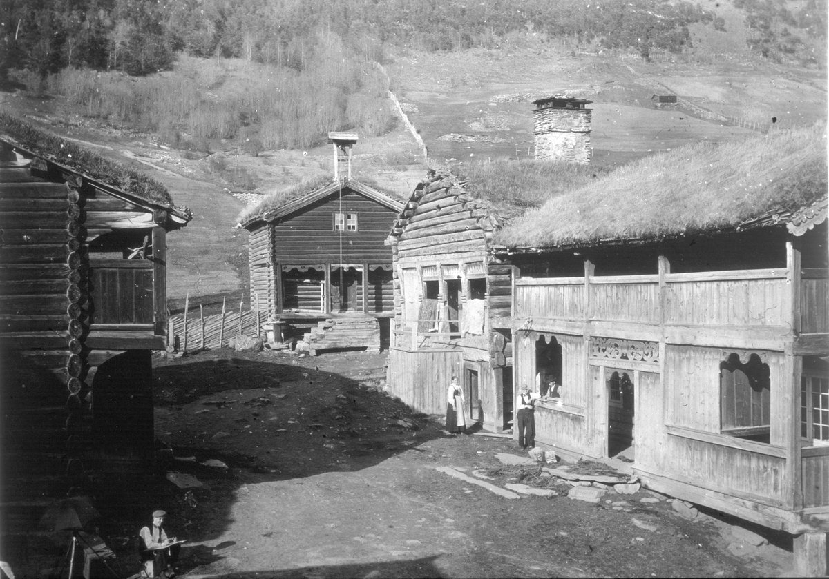 Repro, Bjørnstad i Vågå 1898, inntun, hus, stabbur: Inntunet, antakelig sett fra taket på Våronnlyua.