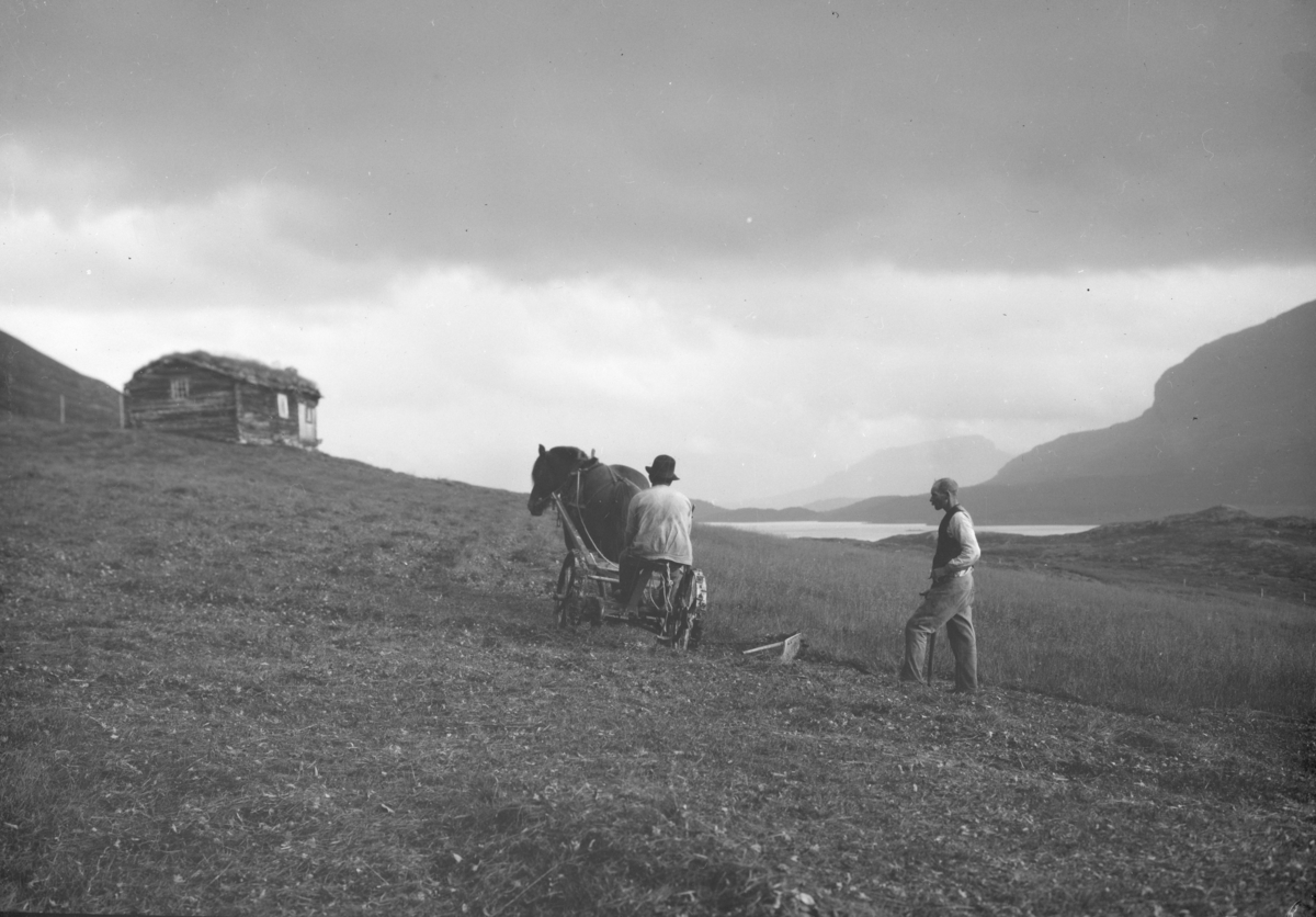 Sjodalen, slåtteteig på fjellet med hest, slåmaskin, menn, tømmerhus og vatn