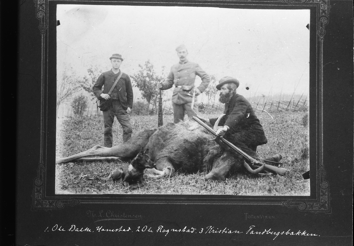Avfotografert bilde av tre jegere med en skutt elg.
Følgende navn på jegerne er skrevet på originalen: Fra venstre Ole Balke (Hanestad), Ole Rognstad, Kristian Tandbergsbakken.