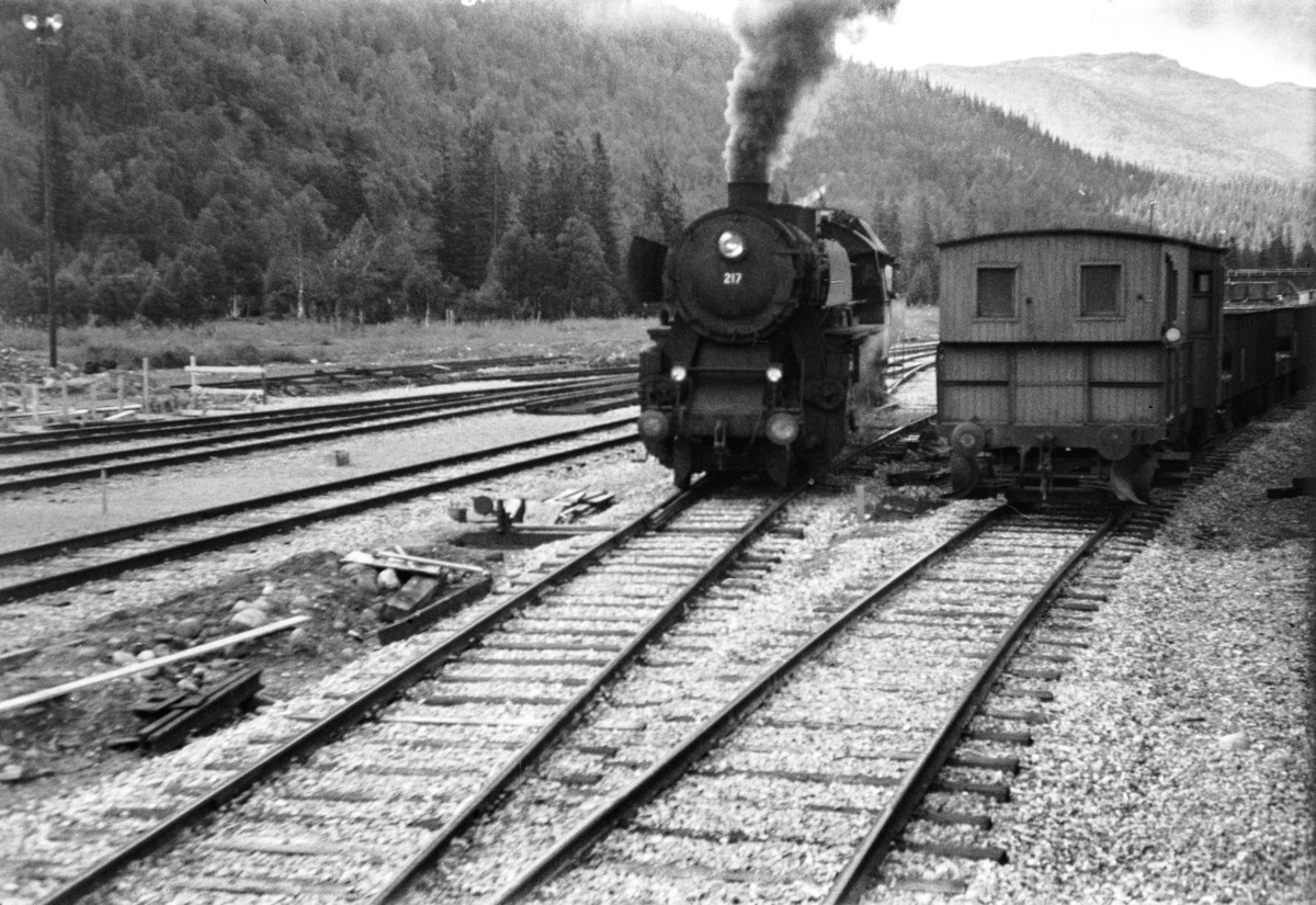 Damplokomotiv type 63a nr. 217 på Dunderland stasjon.