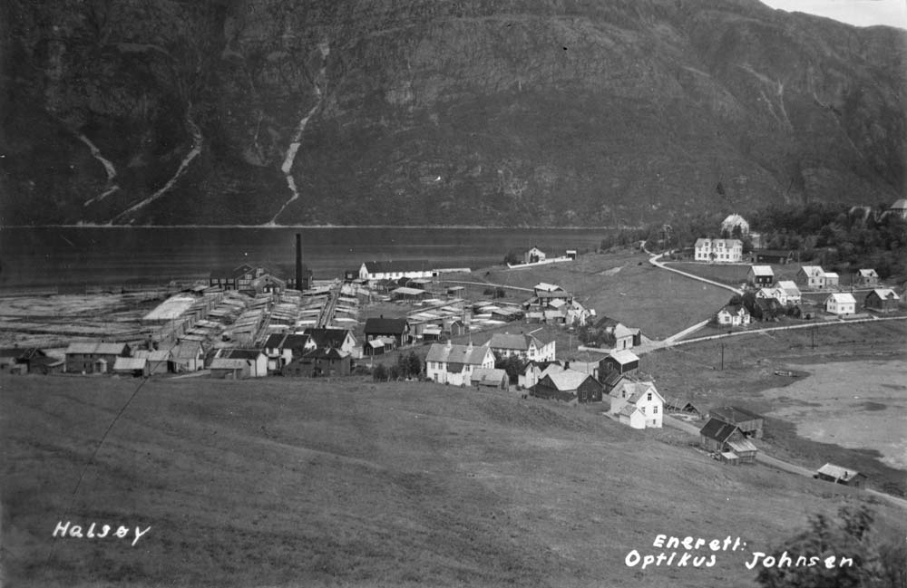Postkort over Halsøy med Toppen og Nesbruket og bebyggelse rundt.