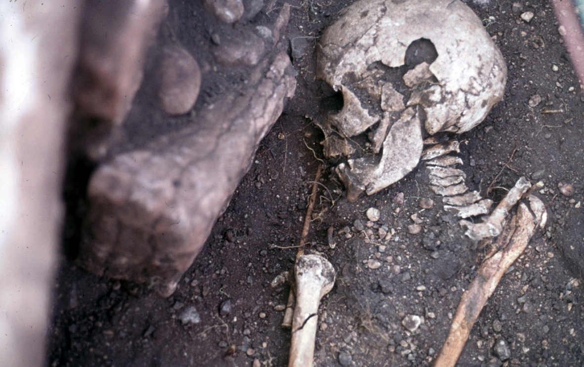 Undersökt grav med kvarlevor vid utgrävning i Vickleby 1973.