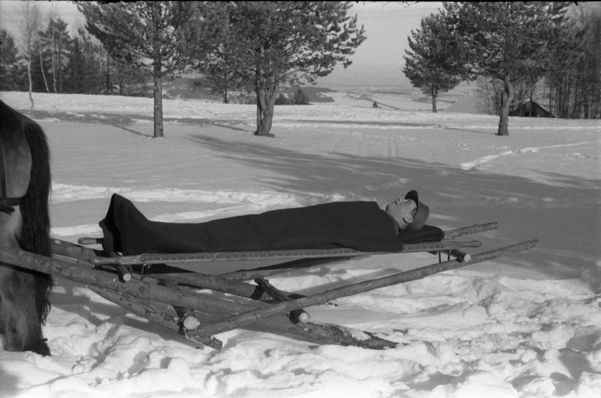 Sju bilder fra Hærens Hesteskole på Starum. vinteren 1955. Improvisert anordning for transport av sykebåre trukket av hest på snøføre.