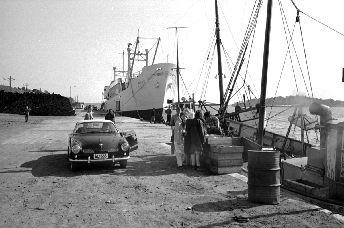 Ålandsresa. Fiskförsäljning i hamnen. M/S Boge. Fiskebåt, Suomi 61