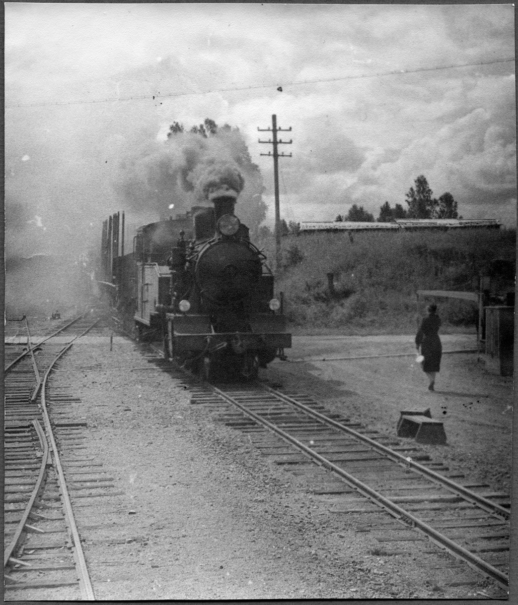 Godståg med ånglok vid Sonstorp. Statens Järnvägar, SJ N4p 3161. Ångloket är före detta Norra Östergötlands Järnvägar, NÖJ lok 22,  tillverkat av Motala Verkstad 1946 för spårvidd 891mm. Det skrotades 1964 i Vislanda.