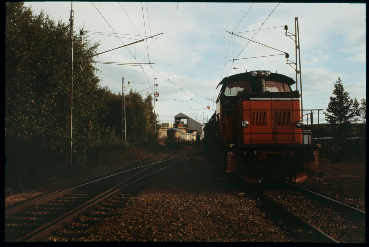 Godståg dragen av diesellok, Statens Järnvägar, SJ V4 141.