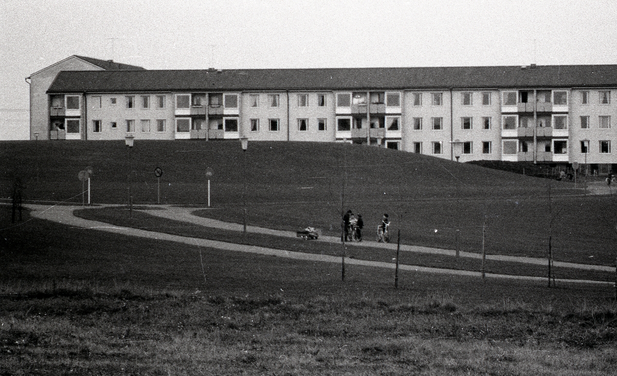 Barn som cyklar, Källparken, Sala backe, Uppsala 1961