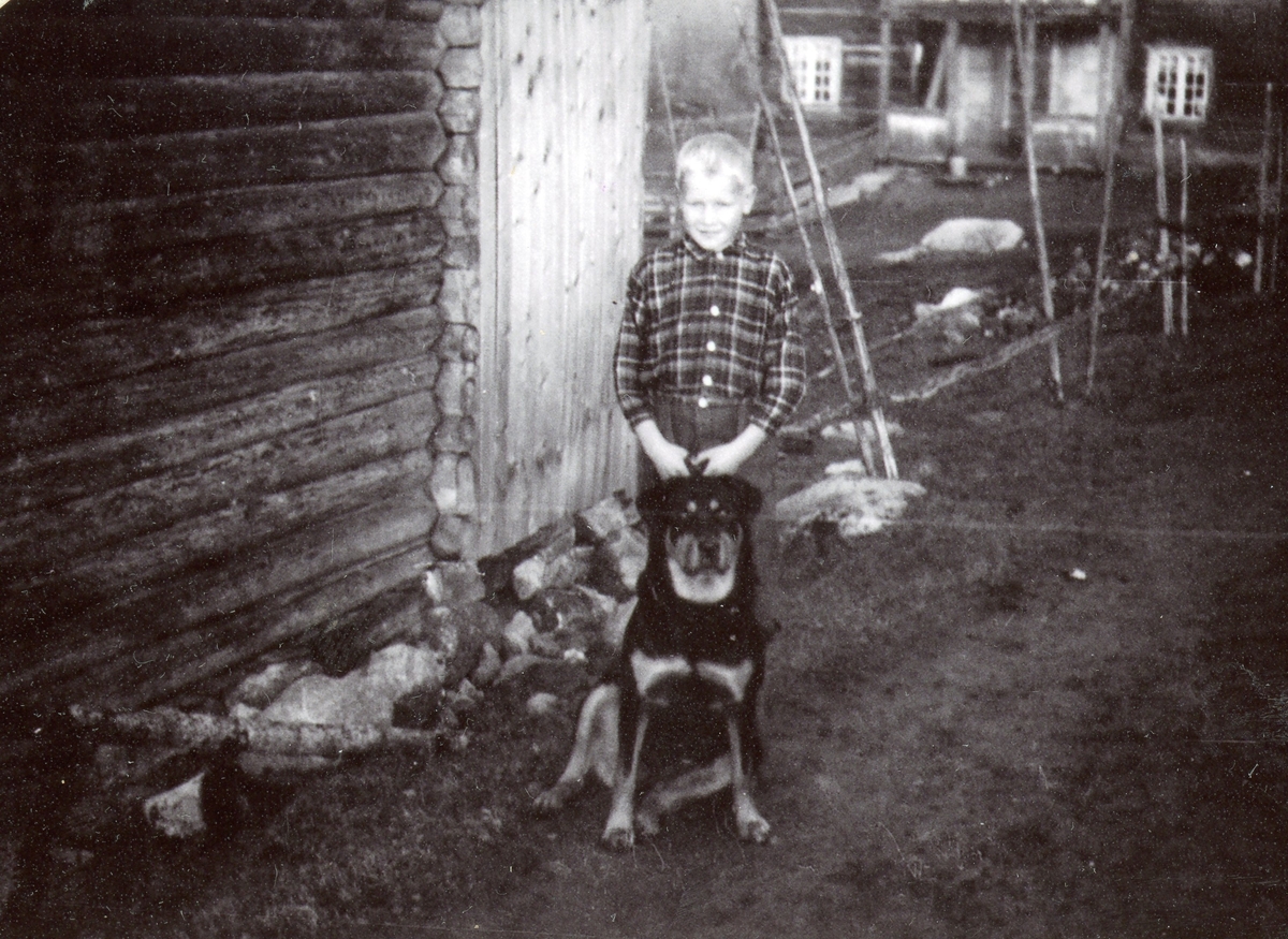 Olav Eikrehagen med hunden Sita til jegerane på  Eikrehagen.