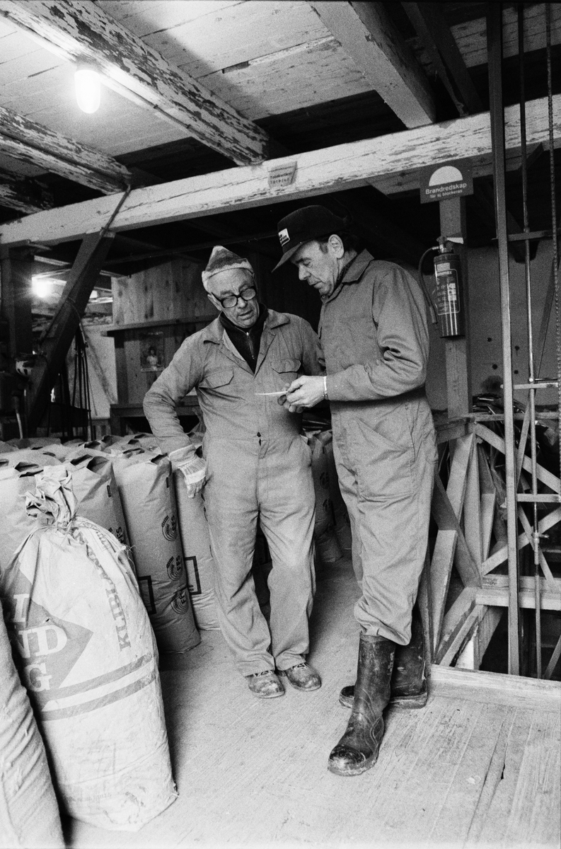 Jordbrukare Artur Wallén samtalar med ägaren av Forsby kvarn, Simtuna, Uppland maj 1988