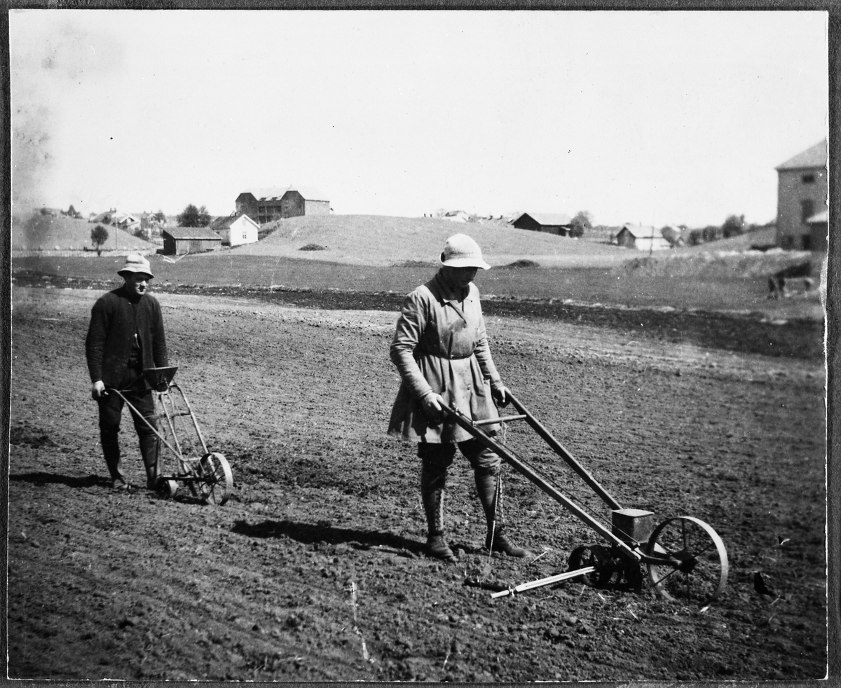 Såing av grønnsakfrø ved Oppland Småbruks og Hagebruksskole våren 1921. Fremst går Margit Lunde fra gården Lunde i Østre Toten. Hun gikk fem måneders jordbrukskurs vinteren 1920/21.