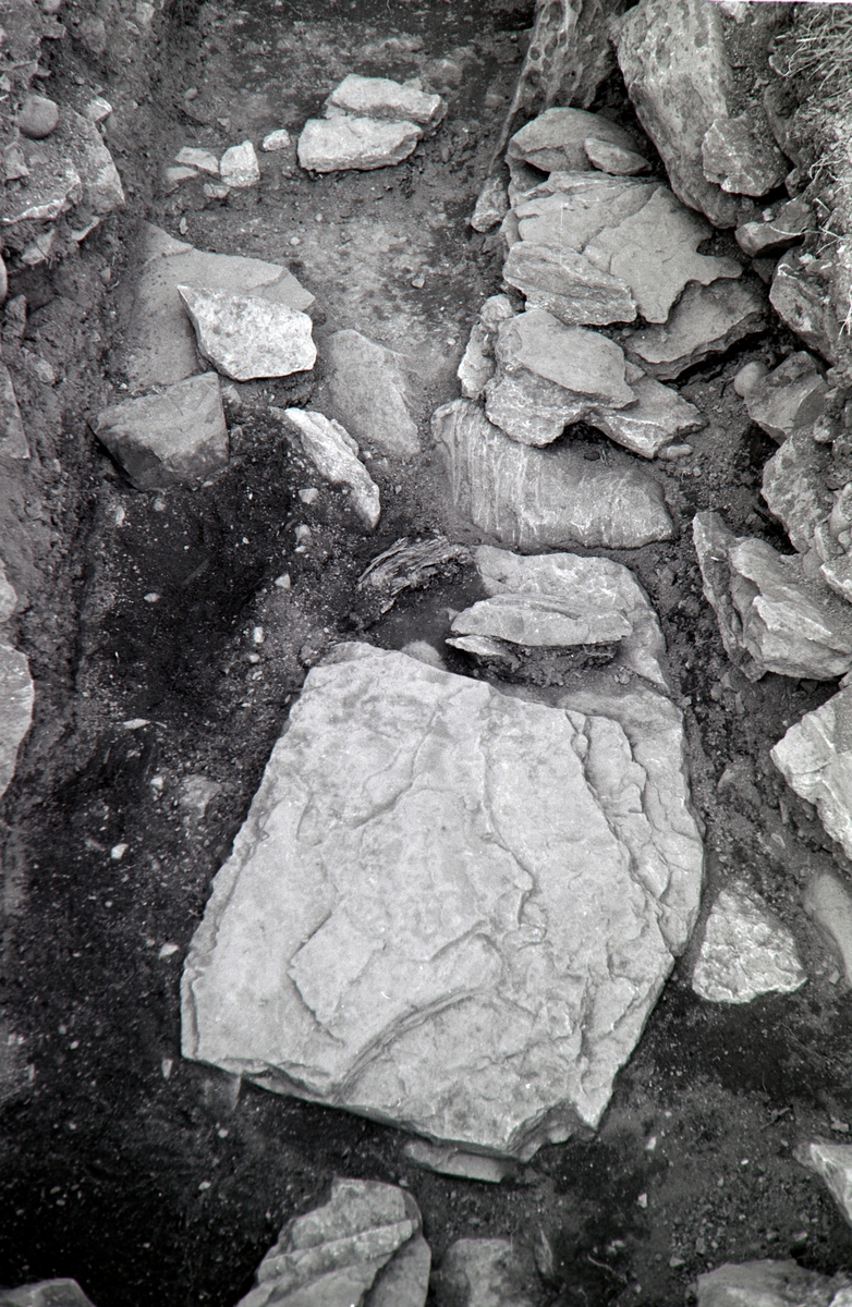 Arkeologisk undersøkelse i grøft Storhamarhagen 1970. Rester av mur ved veien inn til Storhamar gård.