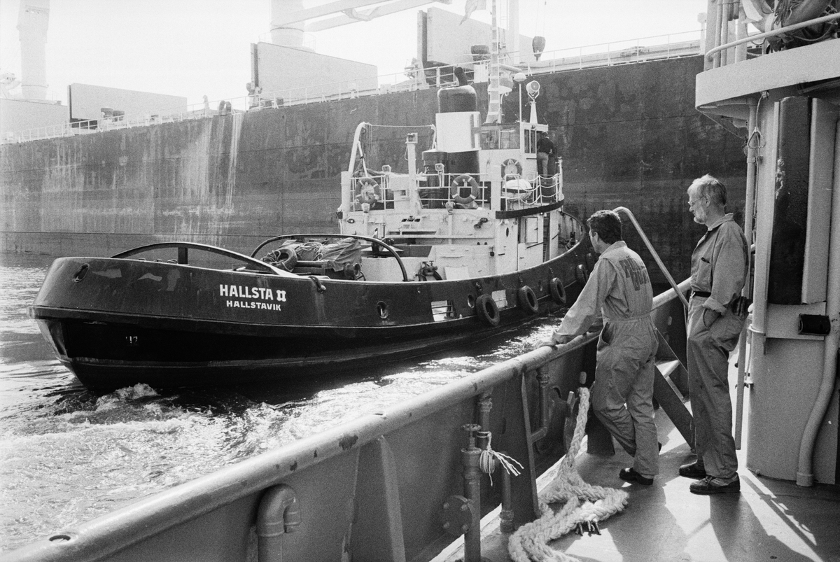 Bogserbåten Hallsta II trycker malmfartyget Bijelo Polje mot kajen. Befälhavare Gösta Hedberg och däcksman Jörgen Hellman på bogserbåten Järven tittar på, Hargshamn, Harg, Uppland augusti 1991
