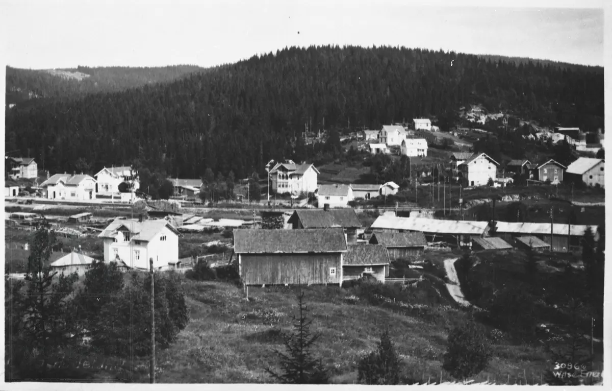 Utsikt mot Grua Gjestgiveri og sagbruket. Grua stasjon til venstre og helt til høyre Grua gård.