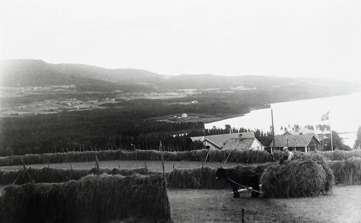 Høykjøring på nedre Onstad i 1939.