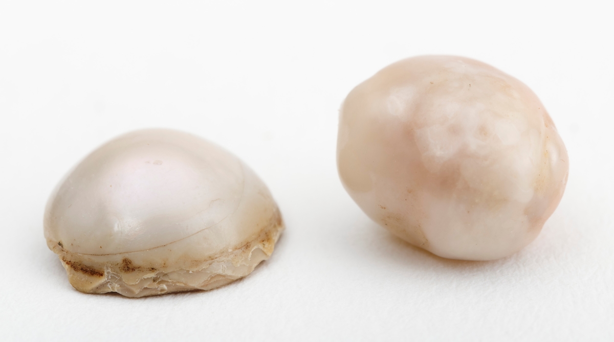 2 perler perler fra elvemusling: Den ene perla er hvit og har en rund form.  Den andre  perla har en hvit, krummende (konkveks), overside og brun tilnærmet plan underside. Den tilnærmet runde perla har en diameter på cirka 8 mm.
Den andre perla med brun underside har en diameter cirka 9,5 mm.