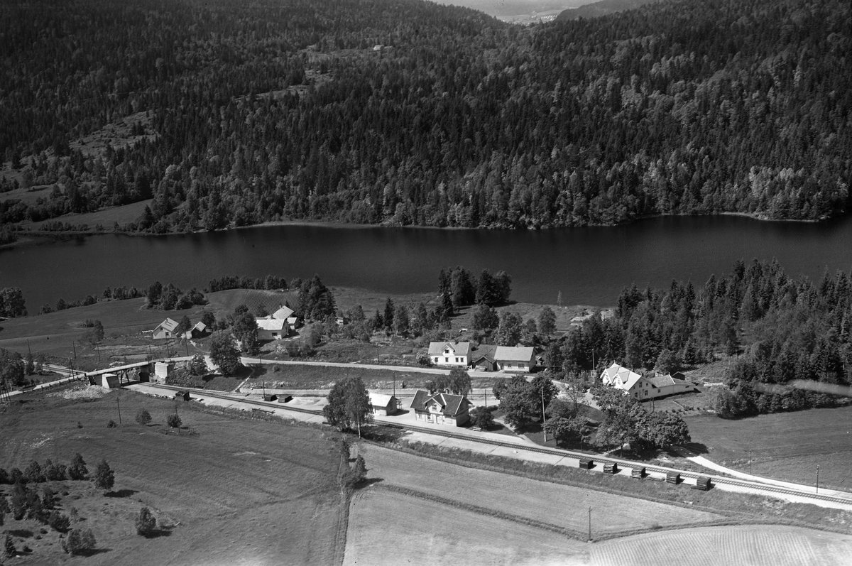 Flyfotoarkiv fra Fjellanger Widerøe AS, fra Porsgrunn Kommune.  Bjørkedalen Stasjon, Bjørkedalen, Eidanger . Fotografert av Vilhelm Skappel, 14.06.1953.