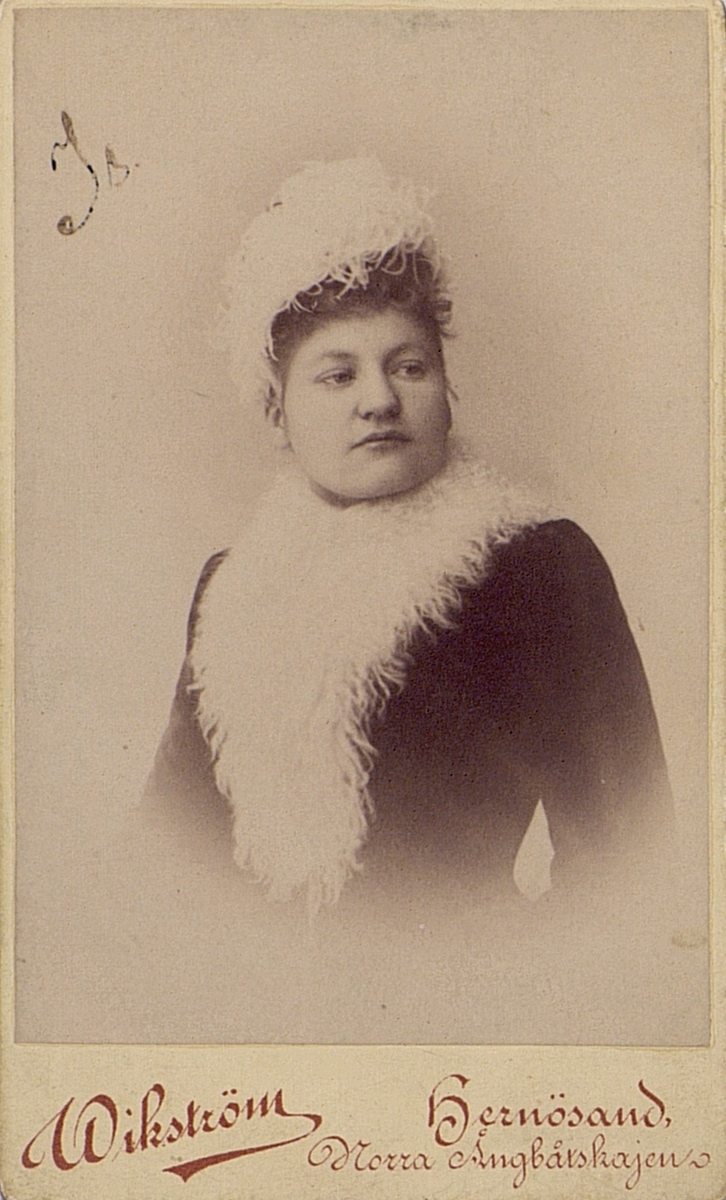 Anna Häggqvist