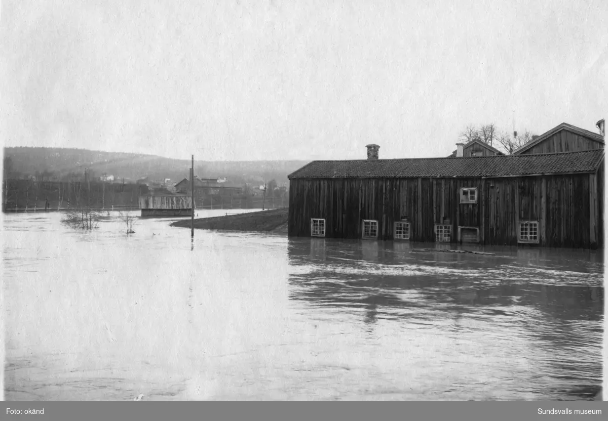 Från översvämningarna på våren 1919. Widegården strax väster om Selångersån. Färgeriet under vatten närmast ån.