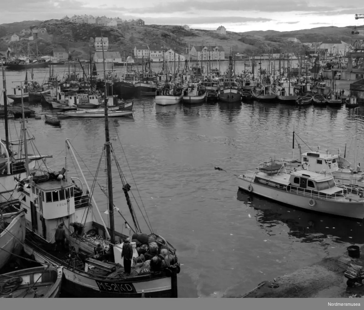 Foto av fiskeflåten i Kristiansund. Datering er 1961. Fotograf er Nils Williams. Fra Nordmøre museums fotosamlinger.