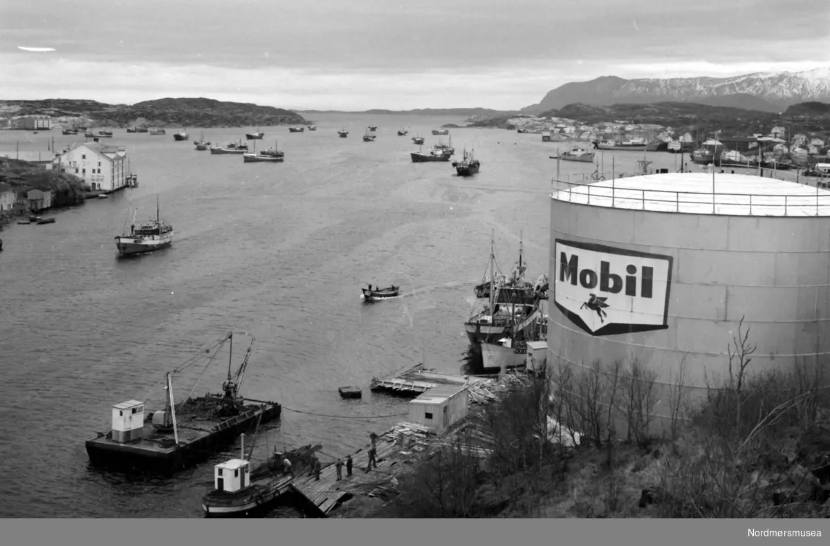 Fiskeflåten i Kristiansund. Bildet er datert til 1961. Fotograf er Nils Williams. Fra Nordmøre museums fotosamlinger.