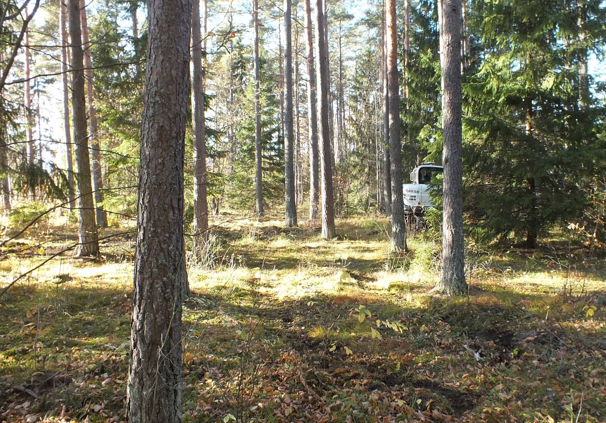 Arkeologisk utredning, schaktning bland träd inom stenfri yta, objekt 27, Fullerö, Uppsala 2018